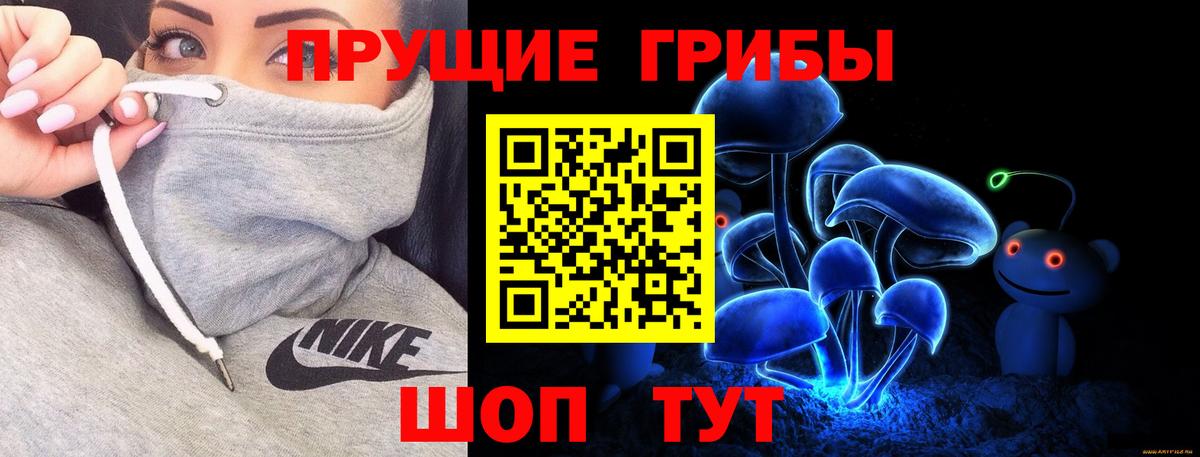 Кизилюрт  Галлюциногенные грибы Magic Shrooms  Вход с VPN 